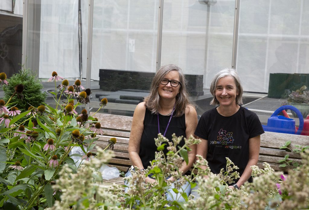 Dr. Amy Verhoeven and Catherine Grant pose in the greenhouse next to coneflowers (left) and other herbs. (ThreeSixty/Christine Nguyen)